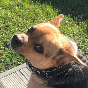 Meet your Posher, Laura